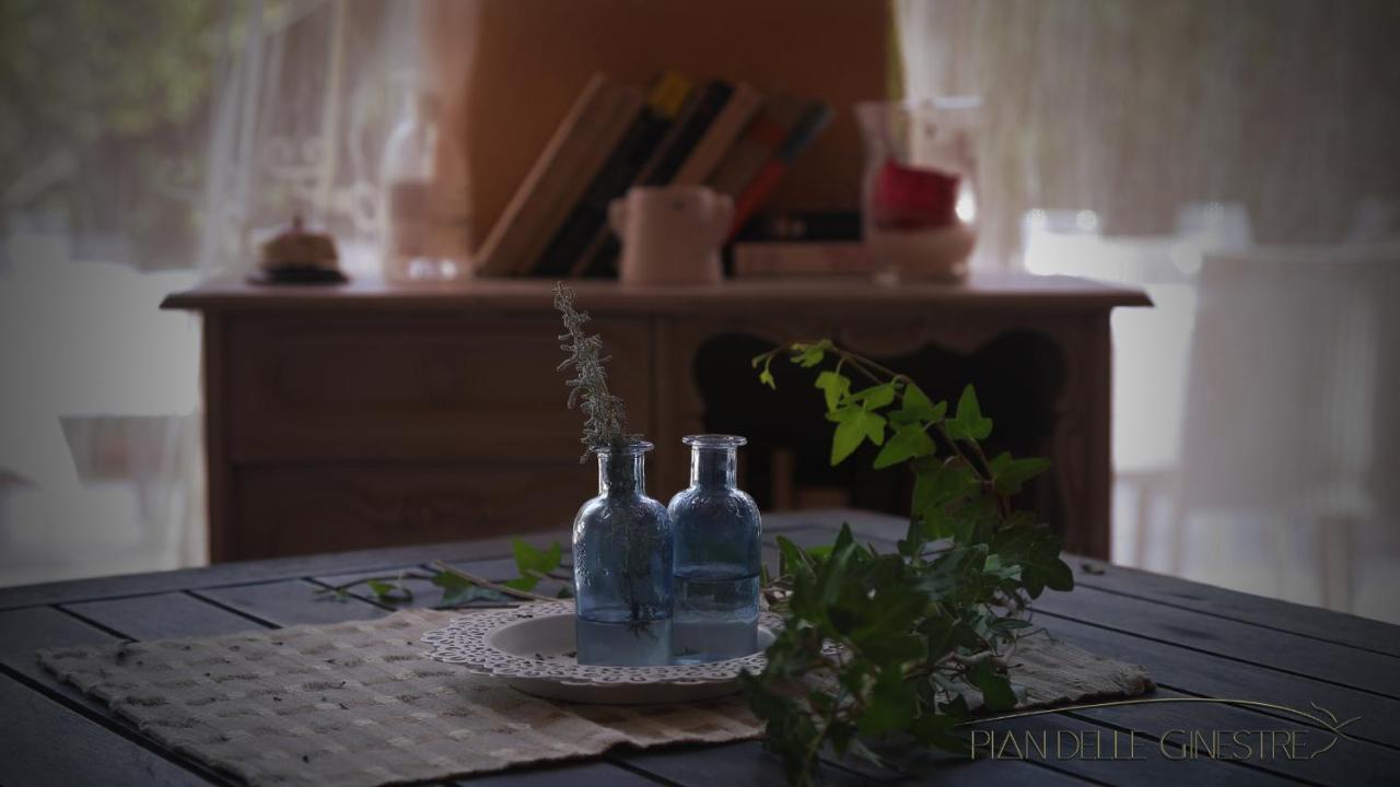 Hotel Glamping Pian Delle Ginestre Sassetta Zewnętrze zdjęcie